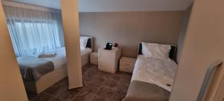 Park Hotel Viasport - Gorni Dŭbnik - 5