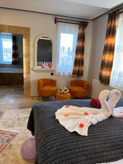 Dirilis Banarya Apart hotel - Mustafapaşa - 5