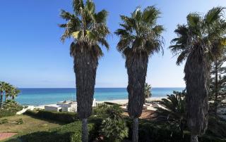 Casa Coco - 8