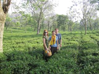 Infinitea Dakbunglow Palampur - Pālampur - 9