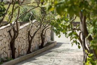 Apartmani Kalos - Vela Luka (Vallegrande) - 2