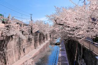 Calm Riverside Inn Close to Ikebukuro - Tokyo - 6