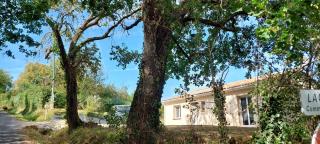 Villa Puycelsienne - Les Barrières - 6