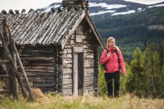Trillevallens Högfjällshotell & Lägenheter - 0