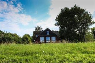 Landhaus am Deich - Dornum - 0
