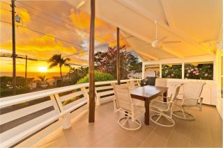 Endless Summer Hale - 8