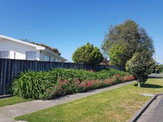 Sunny Central Parkvale home - Hastings - 5