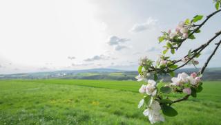 Moderne Wohnung mit Panorama - Schneppenbach - 6