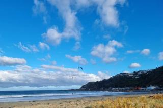 Beachside Retreat - Wellington - 0