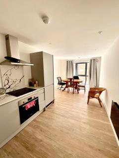 Spacious Flat One bedroom - 9
