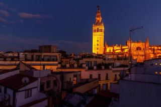 Conteros Dúplex - Terraza vistas a la Giralda - Seville - 1