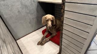 Casa di Giovanni - Italien - 6