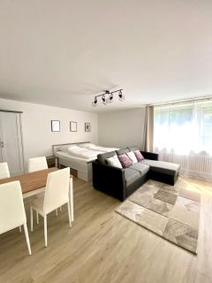 Komfortable Wohnung in zentraler Lage - Ingolstadt - 6