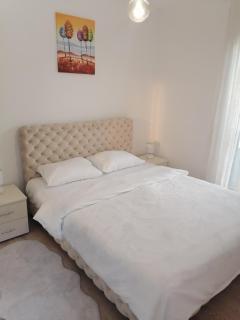 Apartman Savic - Vrnjačka Banja - 2