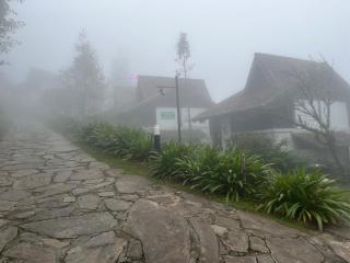 Heaven house sapa - Lao Cai - 4
