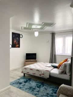 Stanton - Impeccable and stylish 2 bedroom - Dagenham - 5
