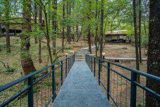 Everest Base Camp, Near George Everest House, 5kms from Library chowk - Masuri - 6
