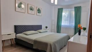 Amazing Apartament with Garden Bucharest Airport Self check-in!! - Otopeni - 5