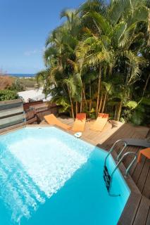 Puravida - La Saline-Les-Bains - 0