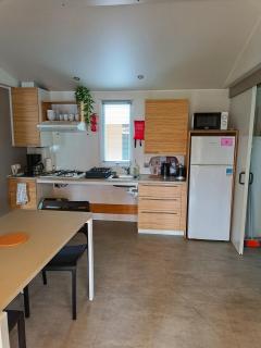 Mobil'home PMR sous les pins ! - Seignosse - 5
