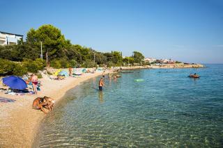 Apartments Sandra - Mandre - 7