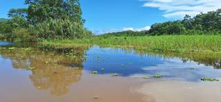Amazon Tropical Expeditions - Iquitos - 7