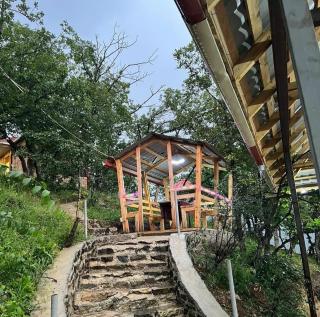 Delidag Restaurant_Cottage - Toğanalı - 1