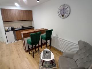 Aqua Apartments 1 - Jagodina - 6