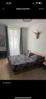 Ultra central, air conditionned, very quiet! - Nizza - 5