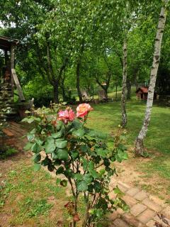 Log cabin - Belgrado - 9