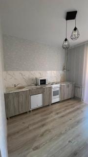 уютная и стильная 1 ком в новом мкр Костанай Плаза - Береке - 1