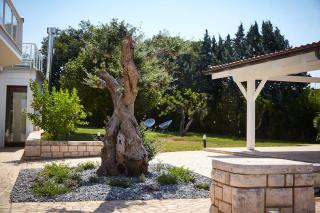 Villa D'Aprile Exclusive Luxury Villa with pool, Jacuzzi, SPA - Castellana Grotte - 1