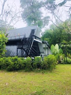The Creek Haus - Baen - 1
