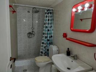 Fiorentina apartments - 2