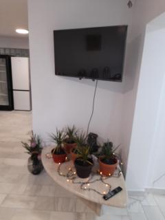 CASA FLOARE DE COLT - 4