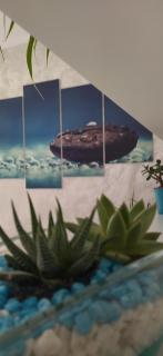 B&B La Munachell - 3