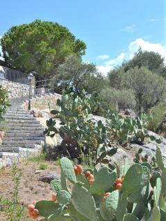 Duplex vue mer - Ile Rousse - LʼÎle-Rousse - 6