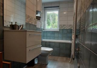 Apartmánek Jizerské hory - Josefŭv Dŭl - 1