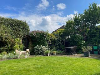 Clay Farm Guest House - Bromley - 4