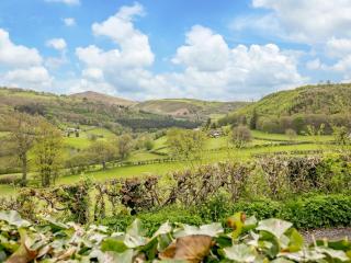 3 Bed in Llangollen 92019 - Glyn-Dyfrdwy - 7