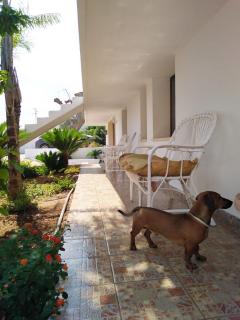 Mery House - Taviano - 8