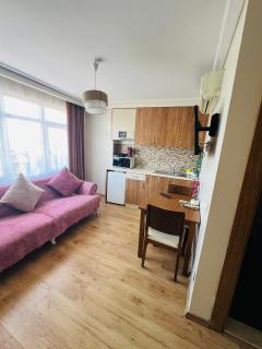 Aycan Sultan Apart Hotel - 7