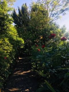 Appartamento Ibisco - Porto Valtravaglia - 3