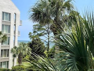 Beach Daze-Gorgeous new shower! Bikes Included - Hilton Head Island - 7
