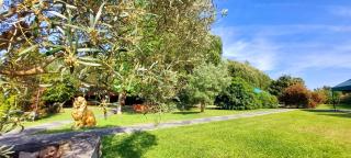 Quinta do Mateus - 1