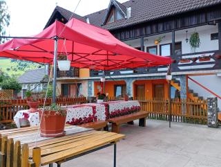 Pensiunea Irina 1 si 2 - Zărneşti - 1