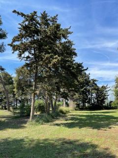 Manade BEC - Saintes-Maries-de-la-Mer - 2