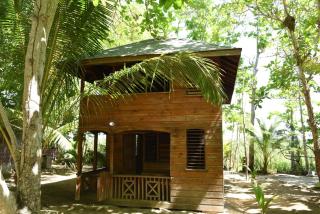Somali Jungle Eco Lodge and Cabins - - 9