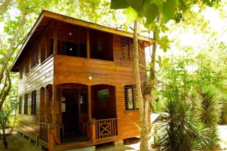 Somali Jungle Eco Lodge and Cabins - - 3