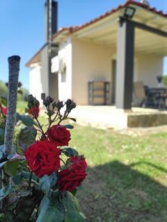 Harmony Luxury House - Orfánion - 5